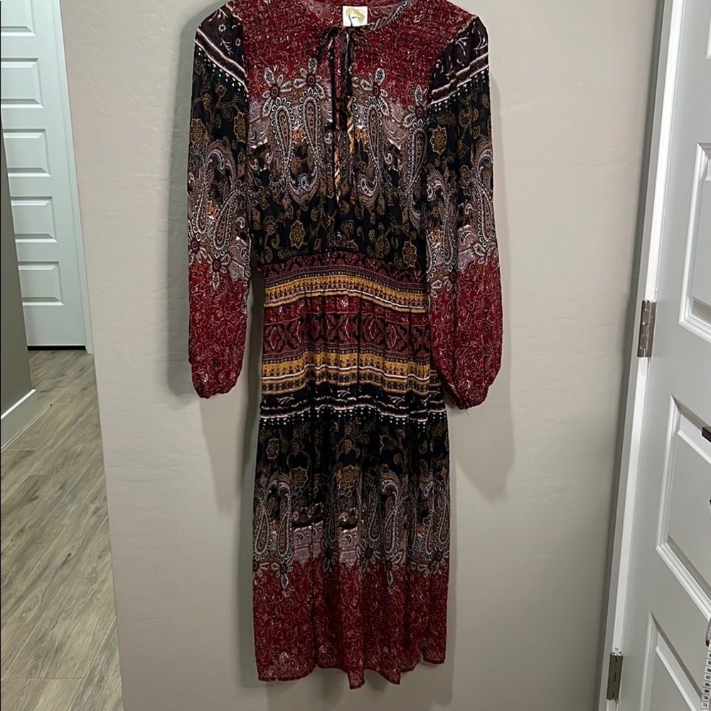 Fig & Flower Anthropologie Dress Sheer Boho Paisley Bishop Maxi Fall Rust Brown - Picture 2 of 16